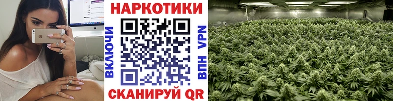 Купить наркотик Каневская ГАШ COCAIN APVP Канабис МЕФ