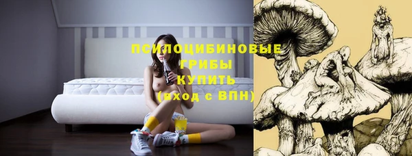 тгк Беломорск