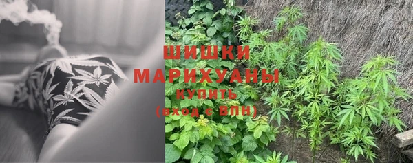 альфа пвп Алагир