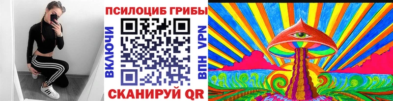 Псилоцибиновые грибы мухоморы  где найти   Каневская 