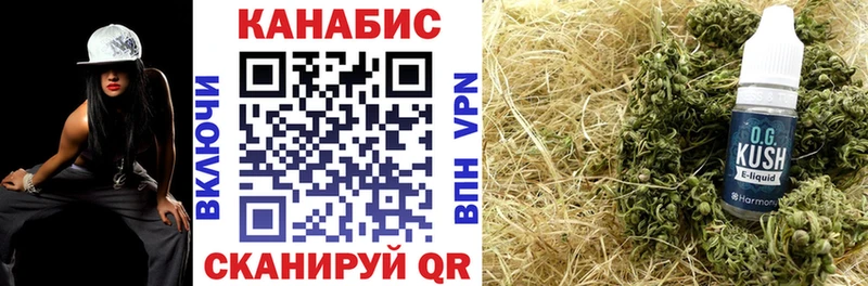 Конопля планчик  Каневская 